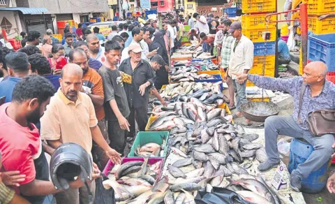 mrigasira karte impact on fish markets