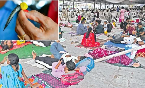  Fish Prasadam Nampally Hyderabad