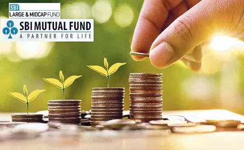 Include Mid-Cap And Small-Cap Funds Alongside Large-Cap Funds In The Portfolio