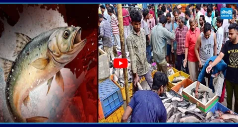Huge Crowd at Fish Markets Mrigashira Karthi Special  2