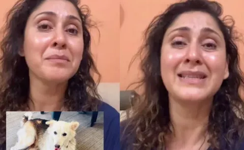 Manjari Fadnis Alleges Society Dog Mikey Was Hit With Rod