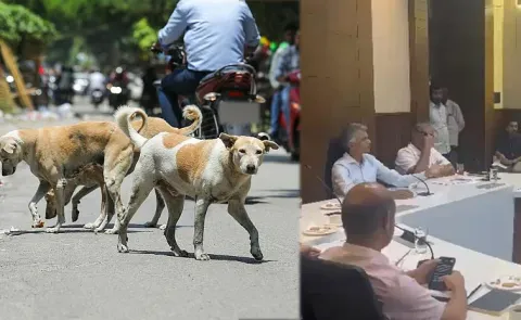 Where Did Public Money Go? Minister Slams Officials Over Stray Dog Crisis