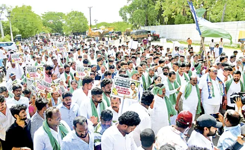 YSRCP Protest For Mango Farmers: Andhra pradesh