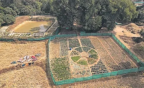 Sagubadi: Climate Resilient Integrated Farming