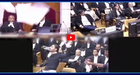 Petitioner Abuses Chief Justice And Throws Papers 3