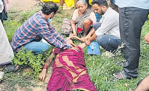 Female farmer dies in Peddalavunipalli RSK