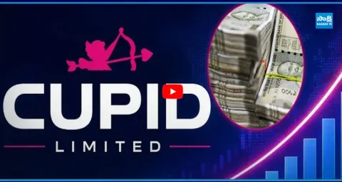 Cupid Ltd Turns ₹5,425 into ₹5.46 Lakh 2