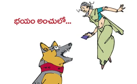 Sunday Special Story Written By Malladi Venkata Krishnamurthy