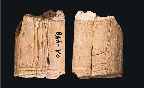 5000-year old 'cultic space' discovered in Iraq dates to time 