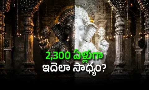 Ganesha Idol Turns Black White Every 6 Months
