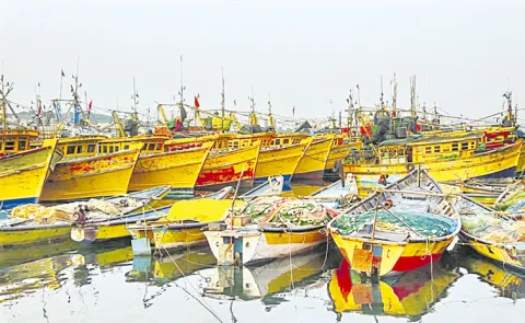 Chandrababu Govt Neglecting Fisherman