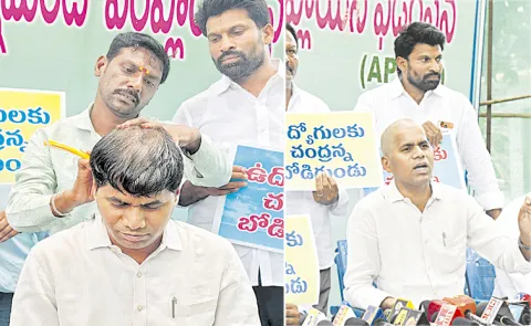 AP Employees Fires On Chandrababu Naidu