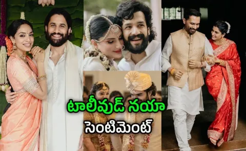 After Wedding Tollywood Actors Success Their Movies Latest Ex Lenin