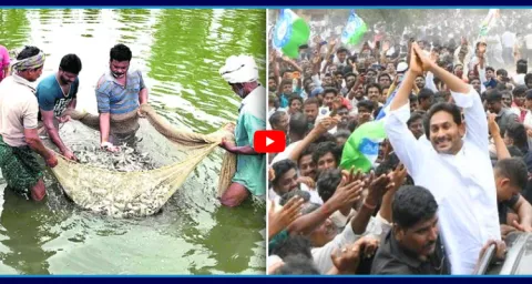 YS Jagan To Visit Bhimavaram To Meet And Console Aqua Farmers 1