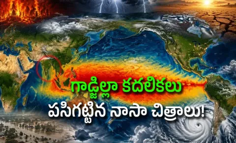 Godzilla El Nino Alert: NASA Detects Pacific Heat Surge