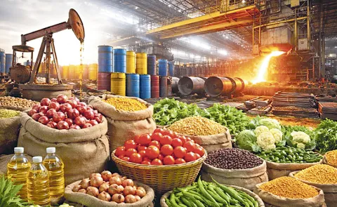 India wholesale inflation rises to 9. 87 percent in June on high food prices
