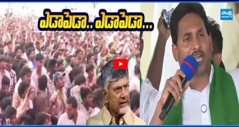 YS Jagan Mass Speech Warns CM Chandrababu 2