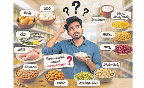 Protein has become very popular in recent times