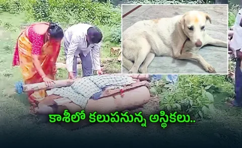 Family Dids Emotional Farewell To Pet Dog After 14 Year