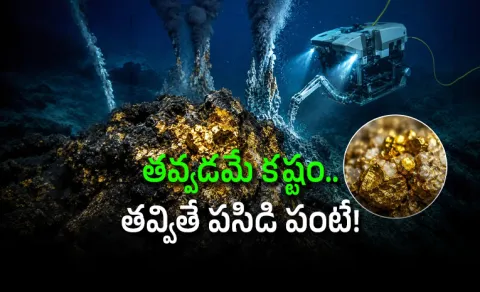 Hidden Gold Discovered Near Japan Pacific World Richest Invisible Gold Deposit