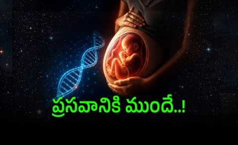 How Long You will Live Could Be Determined Before Born
