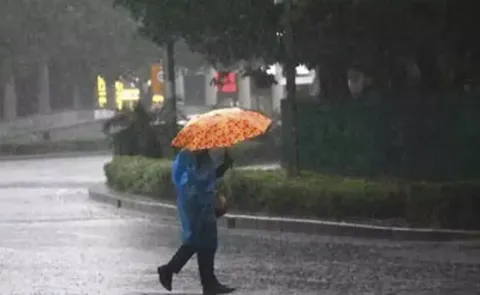 Heavy to very heavy rainfall is expected across several districts: Andhra Pradesh