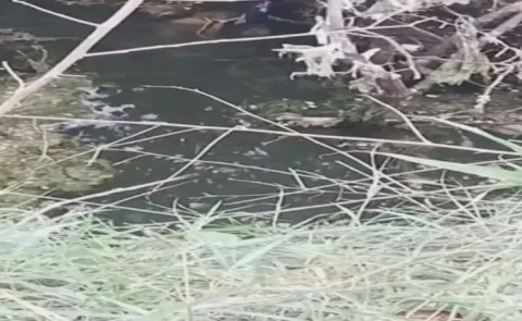 Family commits suicide by jumping into a well in Shankarpally