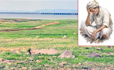 Farmers under Nagarjunasagar project area are deeply worried due to lack of water