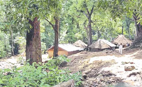 Tribal people living on the hills with less facilities