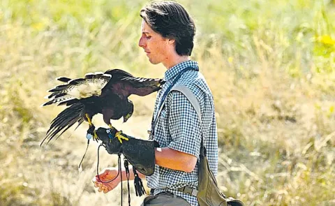 Curious Incident Guard Eagle During Game At Royal Birkdale Golf Club