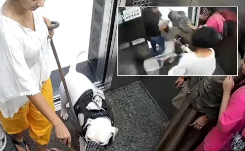 Panic Inside Lift As Aggressive Pet Dog Lunges At Young Girls In Mumbai