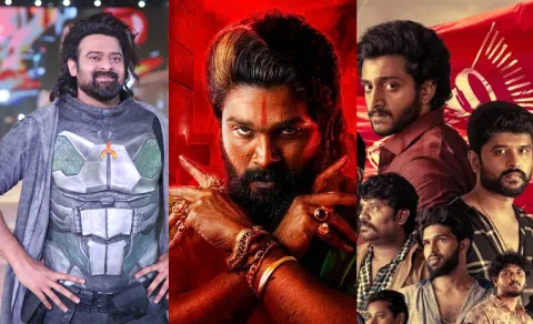 72nd National Film Awards For Telugu Movie List