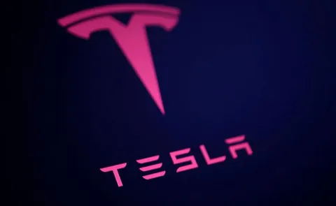 Tesla Launches Balance Bike for Kids