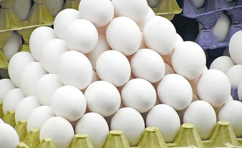Contractors have stopped the supply of eggs to Anganwadi centers in Telangana