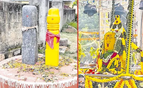 Sakshi Special Story on Bodrai