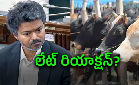Cow Slaughter Ban: Vijay Govts SC Move Triggers Political Row13