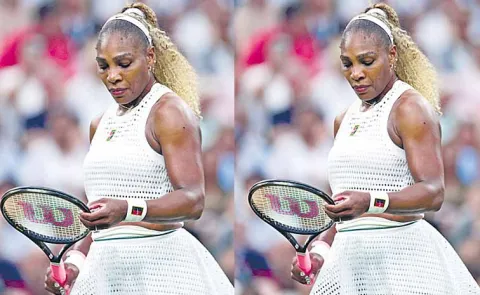 Serena Williams lost a fight to the hands of Maya Joint