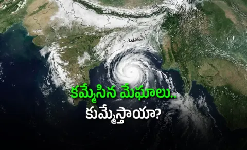 El Nino Weakens? Monsoon Revival Brings Rain Hope