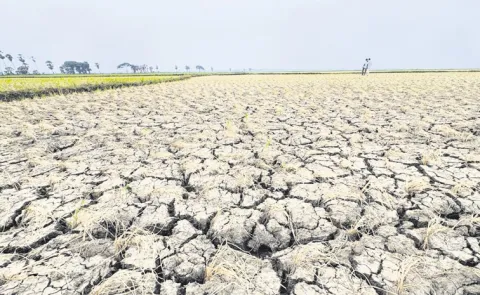 Water shortage in Denduluru