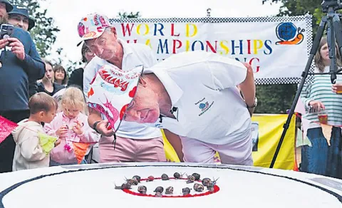 Snailor Swift wins the World Snail Racing Championship13