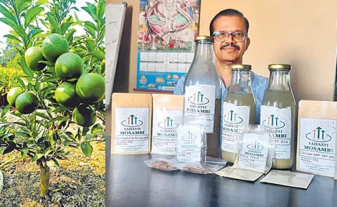 Sahasthi Solutions And Services Private Limited For Sweet Lime Cultivation Area Expansion