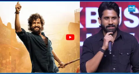 Hero Naga Chaitanya Speech at LENIN Blockbuster Vaibhavam Event