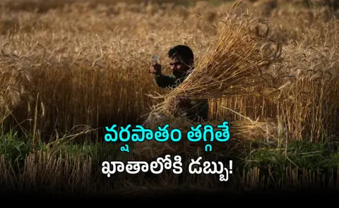 El Nino Risk When Rainfall Falls Insurance Pays Instantly