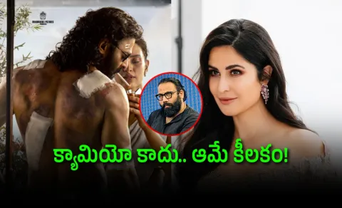 Katrina Kaif Play Game Changing Role In Prabhas Spirit Movie
