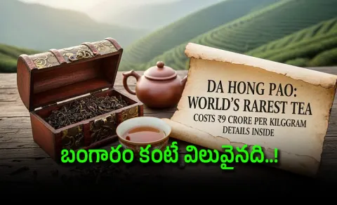 Worlds Most Expensive Tea That China Banned