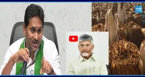 YS Jagan Strong Warning To Chandrababu over AP Tobacco Farmers Issue 1