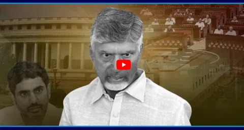 Chandrababu Fake Promises In Parliament 1
