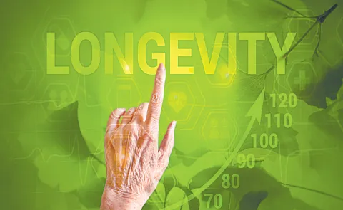 ER-100 can improve vision and visual function in mouse models of ageing