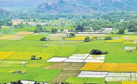 Government issues new guidelines on list of prohibited assets