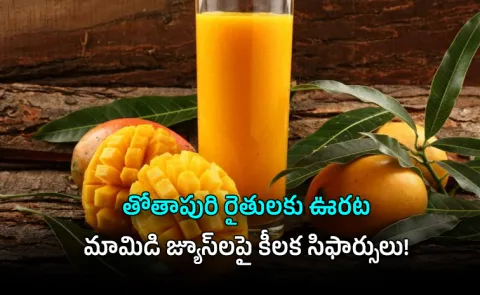 GST Slash Pure Mango Juice Big Win for Farmers better Drinks for You